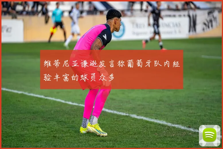 维蒂尼亚谦逊发言称葡萄牙队内经验丰富的球员众多