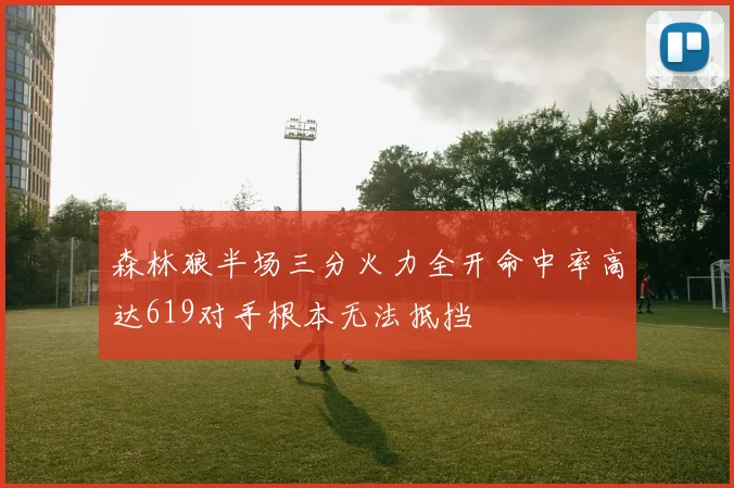 森林狼半场三分火力全开命中率高达619对手根本无法抵挡
